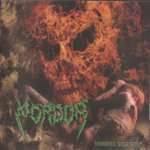 Mordor (ARG) : Morbida Obsesion